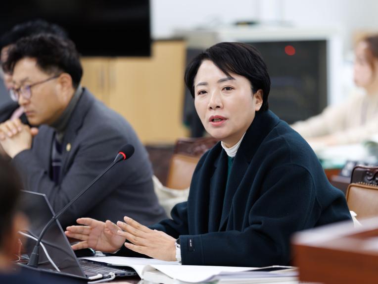 행정복지위원회 행정사무감사(행정안전국) - 10