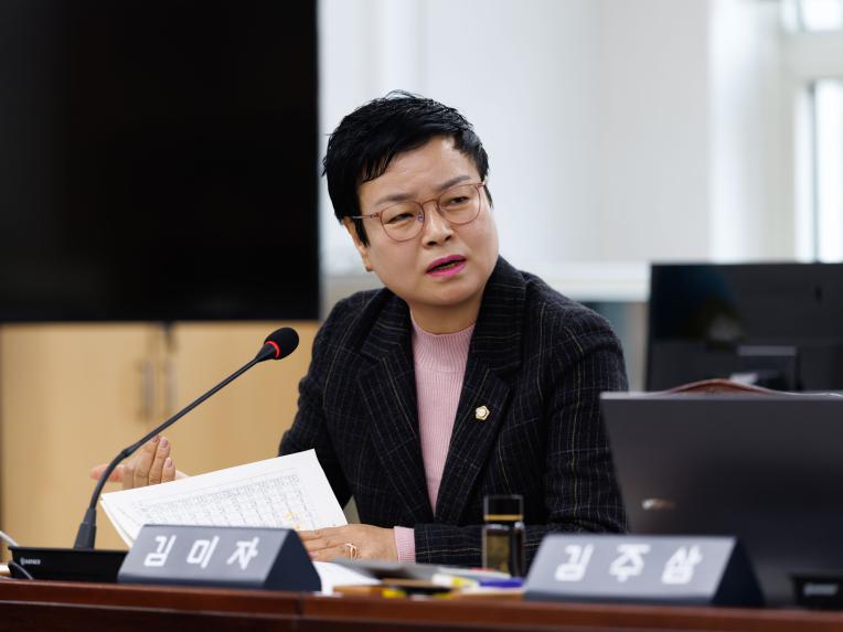 행정복지위원회 행정사무감사(행정안전국) - 12