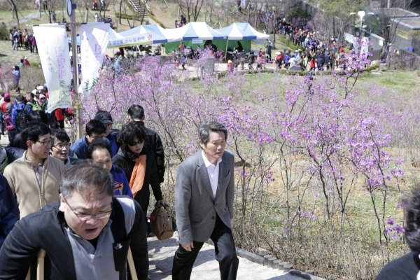 제13회 원미산 진달래 축제 - 2