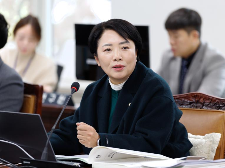 행정복지위원회 행정사무감사(행정안전국) - 5