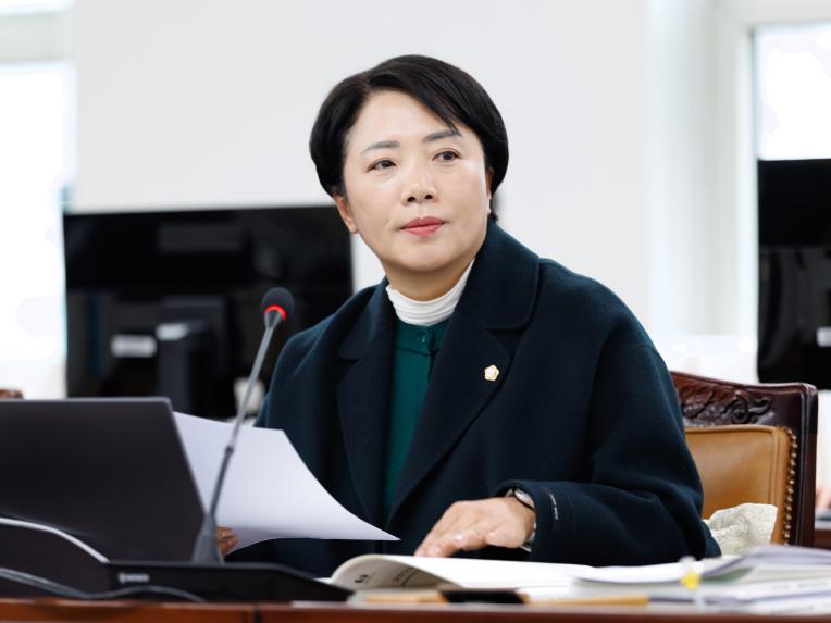 행정복지위원회 행정사무감사(행정안전국) - 6