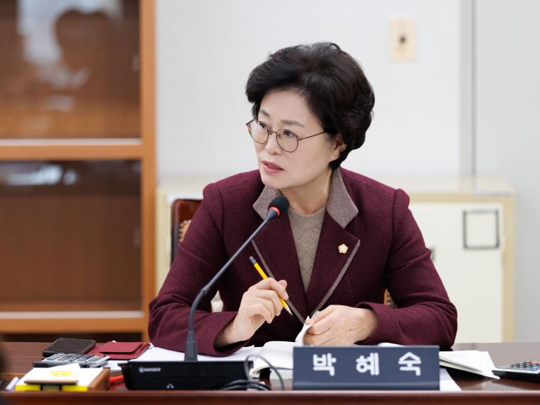 행정복지위원회 행정사무감사(행정안전국) - 6