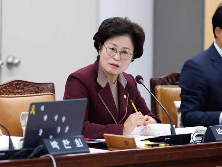 행정복지위원회 행정사무감사(행정안전국) - 8