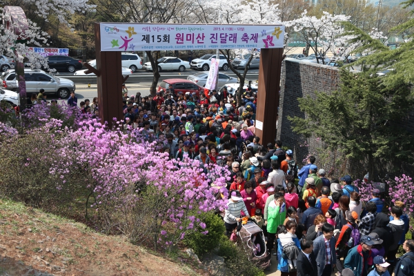 원미산 진달래꽃 축제 - 2