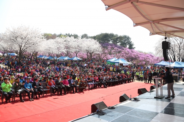 원미산 진달래꽃 축제 - 7