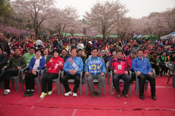 제14회 원미산 진달래 축제 - 2