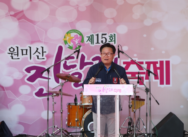 원미산 진달래꽃 축제 - 5