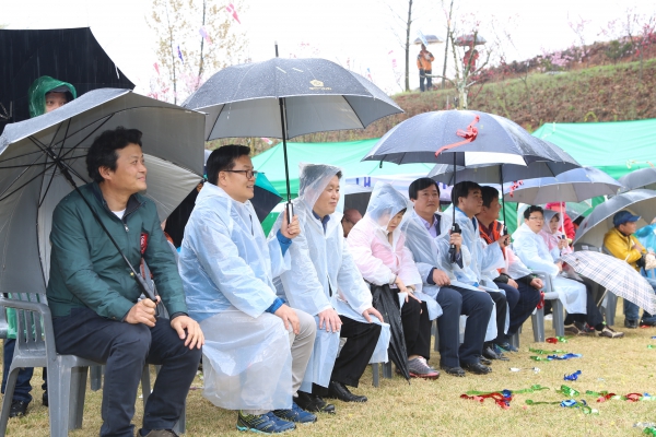 제10회 춘덕산 복숭아꽃 축제  - 5