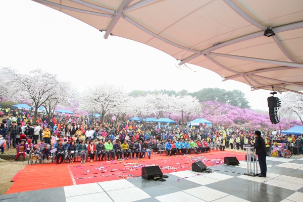 원미산 진달래 축제 - 4