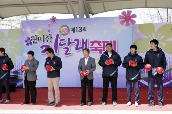 제13회 원미산 진달래 축제