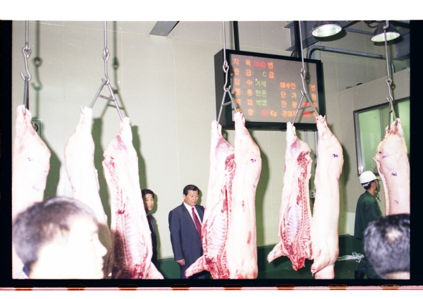 부천축산물공판장 방문 - 4