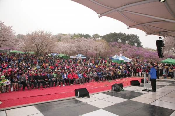 제14회 원미산 진달래 축제 - 5