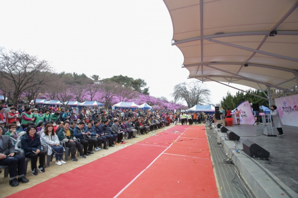 제19회 원미산 진달래축제 - 3