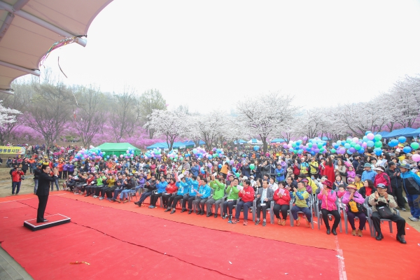 원미산 진달래 축제 - 8