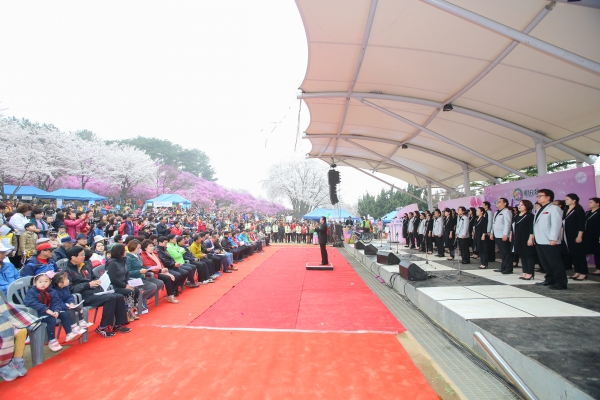 원미산 진달래 축제 - 5