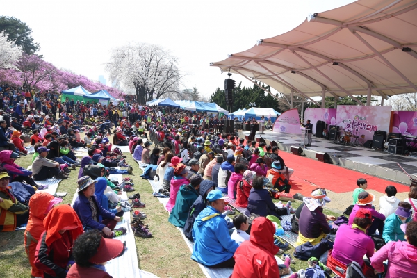 원미산 진달래꽃 축제 - 6