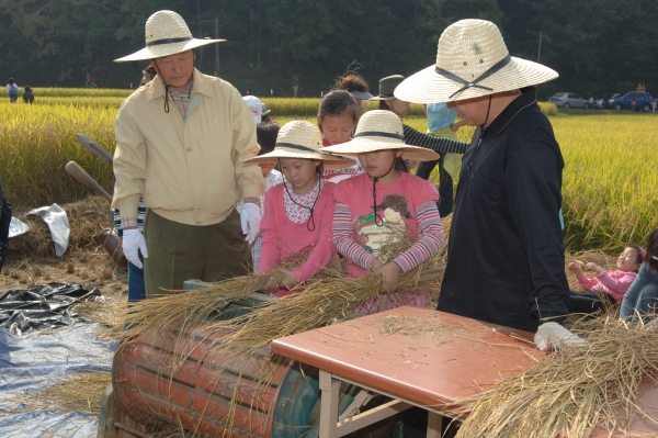 벼베기 체험행사 - 2