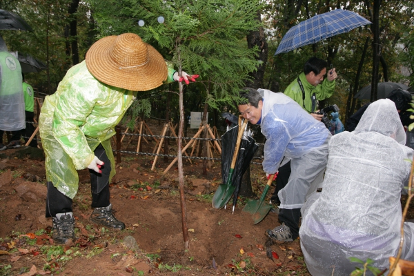 편백나무심기행사 - 3